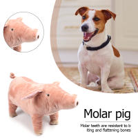 Juguete De Peluche Para Perros Y Gatos Almohadilla De Sueño Companion Mordedor De Algodón Para Pequeños Perros Bulldog Francés Divertido Juguete Para Moler Y Jugar - details 3