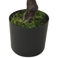vidaXL Bonsái pinus artificial con macetero 60 cm verde - details 5