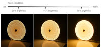 Tira De LED Neón Flexible DC12V 2835 120LEDs/M Con Control Remoto RF Luz De Rope Tubo Impermeable Para Decoración De Casa Y Pared - details 0