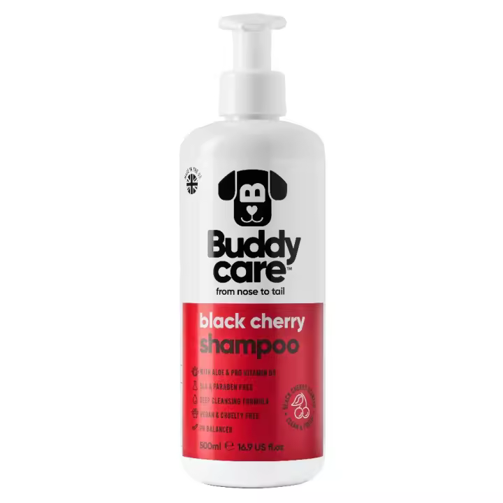 Black Cherry Dog SHAMPOO Buddycare (500ml) - 1
