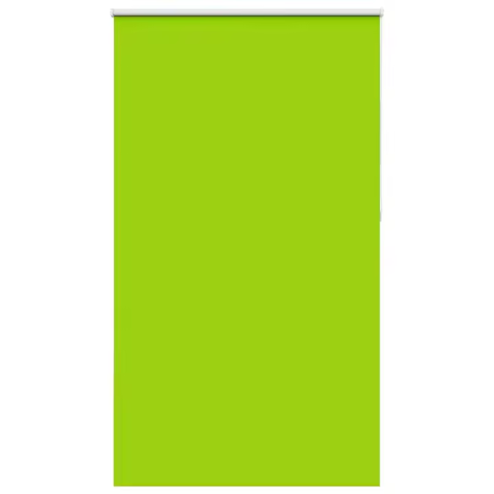 vidaXL Estor Enrollable Opaco hojas verde 125x230cm Tela Ancho 121,6cm - 1
