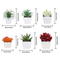 Mini Plantas Artificiales De Suculentas En Blanco Bonsái Set De 6 Piezas Para Decoración De Escritorio Y Ventana Interior - details 10
