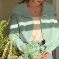 HELIAR Chaqueta De Cariátida Para Mujer Con Cierre De Cremallera Y Cuello Bajado Solido Suéter Casual De Manga Larga Abrazadora Para Oficina Otoño Invierno - details 6