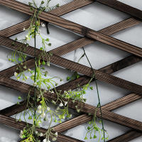 Valla De Madera Retráctil Para Jardín Pino Decorativo Trellis De Enredadera Para Plantas Soporte De Flores Y Macetas - details 0