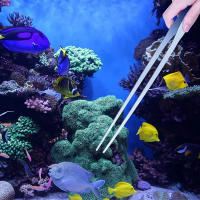 Aguja De Acero Inoxidable 38cm Para Acuario Herramientas De Escapismo Para Tanque De Peces Y Plantas Tijeras Rectas Y Curvas Para Alimentación Acuática - details 0