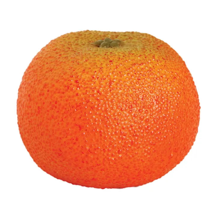 MANDARINA RUGOSA - 1