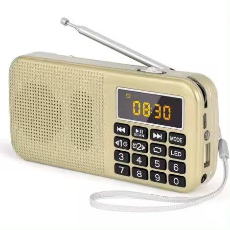 Radio portátil, radio FM con batería recargable de gran capacidad (3000 mAh), compatible con MP3/SD/USB/AUX, color dorado - 1