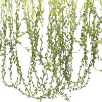 10/20/50/100m De Vinateras Artificiales Plantas Colgantes Falsa Correa De Hojas Rama De Hojas Simulación Para Boda Fiesta Wreath DIY Artesanía - details 8