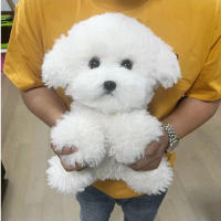 Muñeco De Peluche Simulación Lindo Perro Bichon Curly Para Niñas Regalo De Cumpleaños Accesorios Real Life Plush 31-50cm - details 0