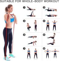 Bandas Elasticas Musculacion,Resistencia para dominadas,para Entrenamiento, Unisex, Ideal para el hogar, Gimnasio, Yoga - details 3