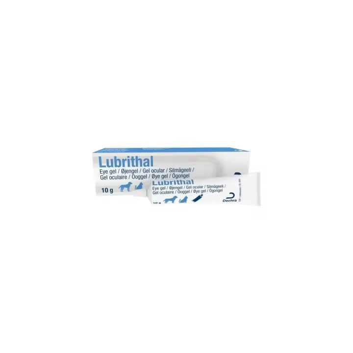 DECHRA - Lubrithal Gel Ocular Humectante para Perros y Gatos - 10 gr - 1