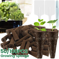 100Pcs Esponjas De Crecimiento De Semillas Reemplazo Plugs De Iniciación De Semillas Para Jardín Hidroponía Material De Esponja - details 0