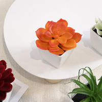 Mini Plantas Artificiales De Suculentas En Blanco Bonsái Set De 6 Piezas Para Decoración De Escritorio Y Ventana Interior - details 3