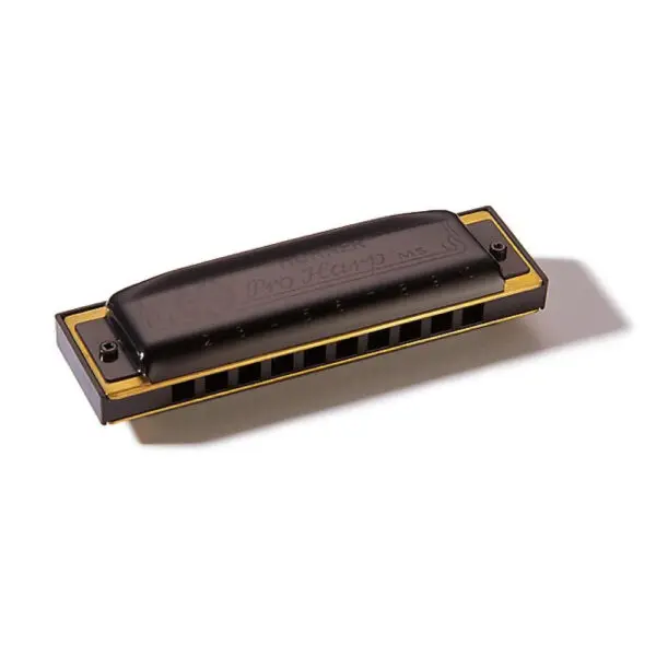 Armónica Hohner Pro Harp 20V 562/20 (Eb) - 1