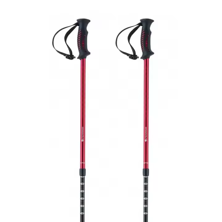 Material senderismo Bastones Ferrino Bastones Gta Negro Unisex - 1