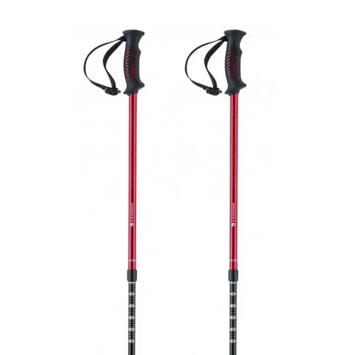 Material senderismo Bastones Ferrino Bastones Gta Negro Unisex - 1