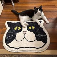Alfombra Antideslizante Para Gato 1 Pieza Impermeable Y Resistente a Manchas Adecuada Para Baño Dormitorio Cocina Decoración Del Hogar - details 2