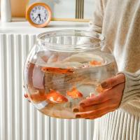 Pequeño Acuario De Vidrio Transparente Para Pequeños Peces Y Reptiles Tanque De Peces Con Buena Visibilidad Estilo De Cuenco - details 3
