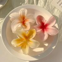 Pinza Para El Cabello De Acrílico Grande Con Diseño De Flor Gradient Para Mujeres Accesorio De Moda De Barretta Estilo Caracol Decorativo Para Fiestas Y Uso Diario - details 5