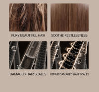SOMY  Secador de Pelo Inteligente de Alta Velocidad 2400W con Pantalla Digital - Protección Capilar Avanzada con Iones Negativos y Anillo de Aceite Esencial 4 colores Producto patentado - details 27