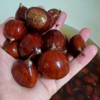 Castañas en Almíbar Ed. Limitada - Elaboradas en el Bierzo de manera tradicional - Devegan - details 0