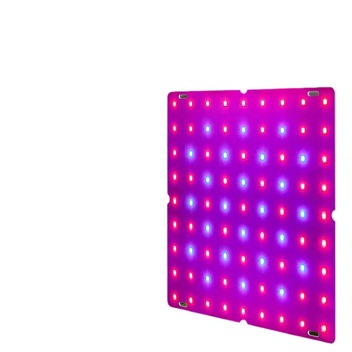 Lámpara De Cultivo De Plantas LED De 200W Espectro Completo Para Suculentas Jardín De Hojas Frutas Verduras Flores Iluminación De Relleno - 1