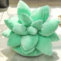 Almohada De Suculento De 25 Cm De Tamaño Plush Creativa Rellena Para Decoración De Hogar Regalos De Cumpleaños Para Niños Regalo De Navidad - details 4