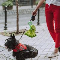 Porta Bolsas De Excremento Para Perro Dispensador De Basura Para Mascotas Libre De Manos Para Caminar Al Aire Libre Fácil De Transportar Clip Para Cachorro - details 1