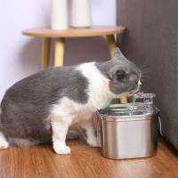 Fuente De Agua Para Gatos Con Sensor De Movimiento Y Filtro Dispensador Transparente De Acero Inoxidable Para Mascotas Pequeñas 2L - details 12