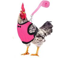 Harnés Ajustable Para Perros Pequeños Y Pollos Con Correa Cómodo Transpirable Chaleco Para Entrenamiento De Mascotas Como Pato Ganso Y Pollo - details 6