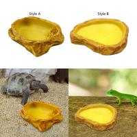 Bol De Agua Para Reptiles Resina Terrario Tazón De Alimento Para Sapo Tortuga Chamaeleon Dragón Barbudo Decoración De Tanque - details 3