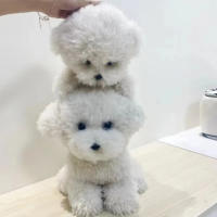 Muñeco De Peluche Realista Con Cabello Curvo Para Niños Y Bebés Juguetes De Animales Suaves Decoración De Habitación Regalo De Cumpleaños De Alta Calidad - details 11