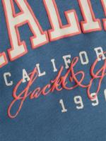 [Primavera] Jack & Jones hombre Sudadera cuello redondo Mod JJDETROIT Bordados en el Pecho Moda Casual Informal ideal Primavera Verano REF 268470 - details 2