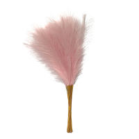 10PCS Pampas De Paja Fluffy 55CM Decoración Bohemia Para Fiesta Y Hogar Plantas Artificiales De Rabo De Sapo Para Boda - details 12