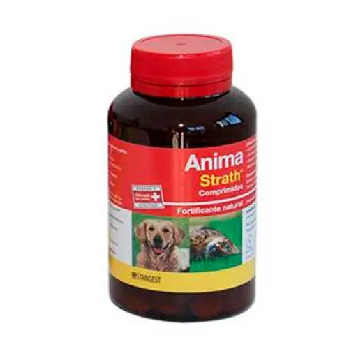 Stangest Vet Anima Strath Perros Y Gatos 240Comp. - 1