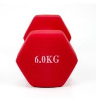 Mancuerna de Acero Cubierta en Vinilo Antideslizante de 6kg para Ejercicios en Casa y Musculación - details 2