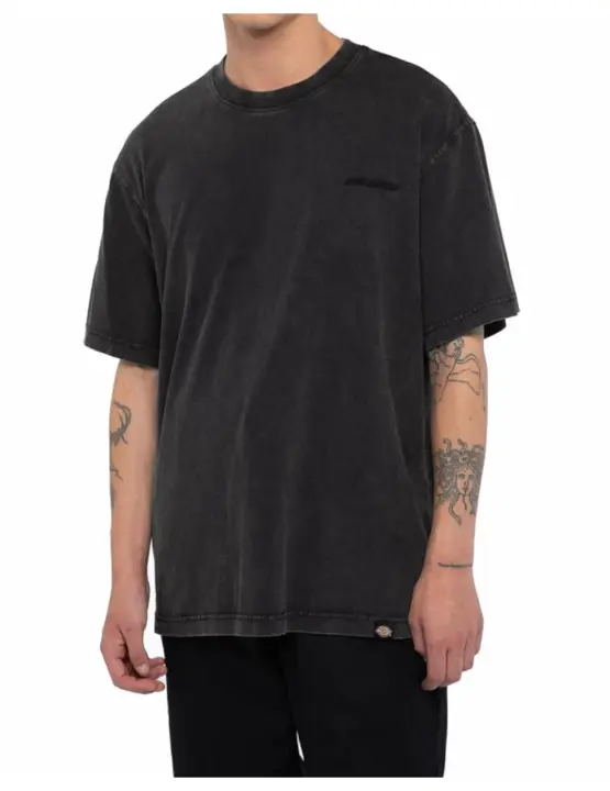 Camiseta Dickies MN Plentywood SS Negro - 1