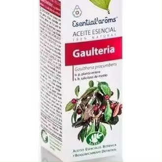 Gaultheria Aceite Esencial 10Ml. Esentialaroms - 1