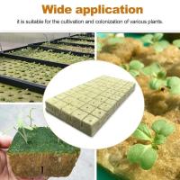 Cubo De Cultivo De Hidroponía Stonewool 50/300pcs Medio De Cultivo Sin Tierra Bloque De Plantación Rockwool Para Semillas Suministros De Jardín - details 9