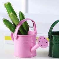 Mini Regadizo Vintage De Metal Para Jardín Y Interior Rociador Para Plantas De Hierro Estilo Floral - details 1