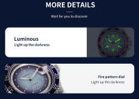 Reloj Mecánico Automático Para Hombre TOPHILL TD006G Vidrio De Zafiro 30m Impermeable Con Movimiento Miyota 2813 Calendario Luminoso TD006G - details 7