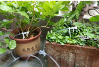 Kit De Riego Por Drip Para Jardín Con Válvula Reguladora Dispositivo De Riego Para Plantas En Macetas Ahorro De Agua Micro Riepilogo Para Invernadero - details 8