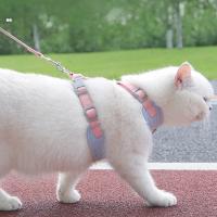 Juego De Arnes Y Correa Para Perro Y Gato Pequeño O Mediano Almohadilla Respirable Para Mascota Estilo Chihuahua Poodle Bulldog Francés Accesorios Para Mascotas - details 3