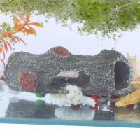 Adorno De Acuario De Ramas De Árbol De Resina Y Estrella De Mar Decoración De Paisaje Para Tanque De Peces Material De Resina Y Madera Hueca - details 5