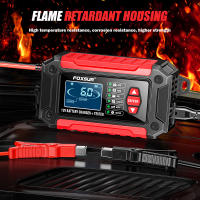 Cargador De Batería De Coche FOXSUR 12V 6A FTC-1206 Para Motocicleta Camión Mantenedor De Baterías De Agua Y Ácido Líquido Con Pantalla LCD Digital - details 16