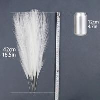 15pcs Arreglo De Pampas De Juncos Artificiales Para Decoración De Hogar Y Bodas Flores Silken Para Vaso Decoración De Dormitorio Y Fiesta DIY - details 5
