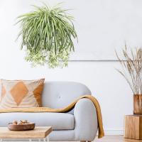1pc Chlorophytum Artificial Colgante Planta Falsa De Plástico Para Decoración De Jardín Y Pared De Hogar Verde Sintético Para Exterior Y Interior - details 3