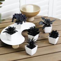 Juego De Macetas De Plástico Evergreen Para Decoración De Escritorio Y Oficina Estilo Suculentas Sin Mantenimiento Realista - details 17