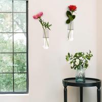 2pcs Jarrones De Vidrio Para Plantas Perfectos Para Decoración De Hogar Jardines Oficinas Accesorios Tubos Contenedores Montados En La Pared - details 2