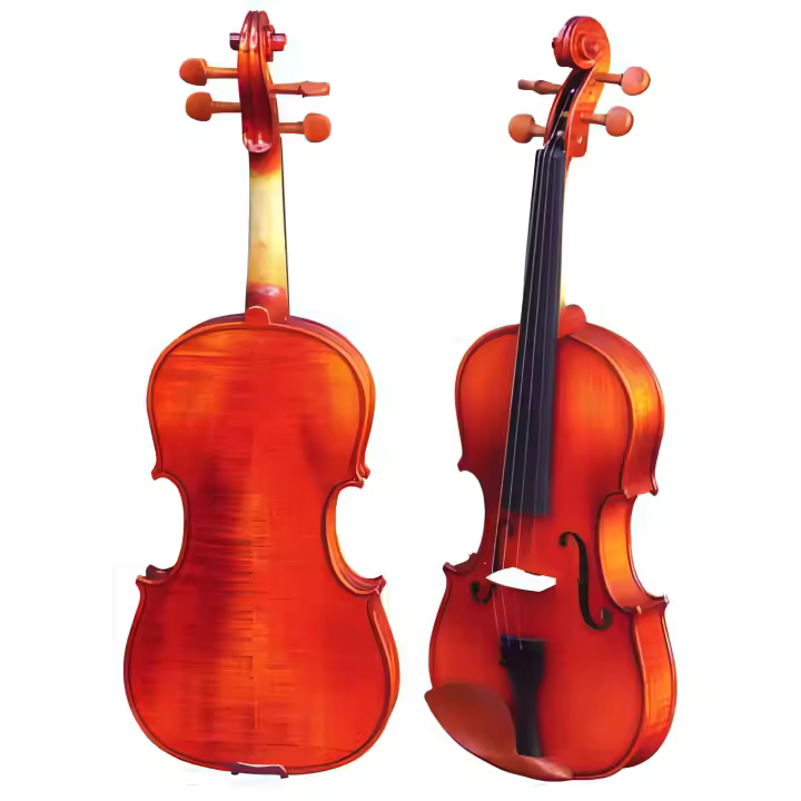 VIOLIN-Gaudieri (HD-V21) Estudio 1/2 - 1